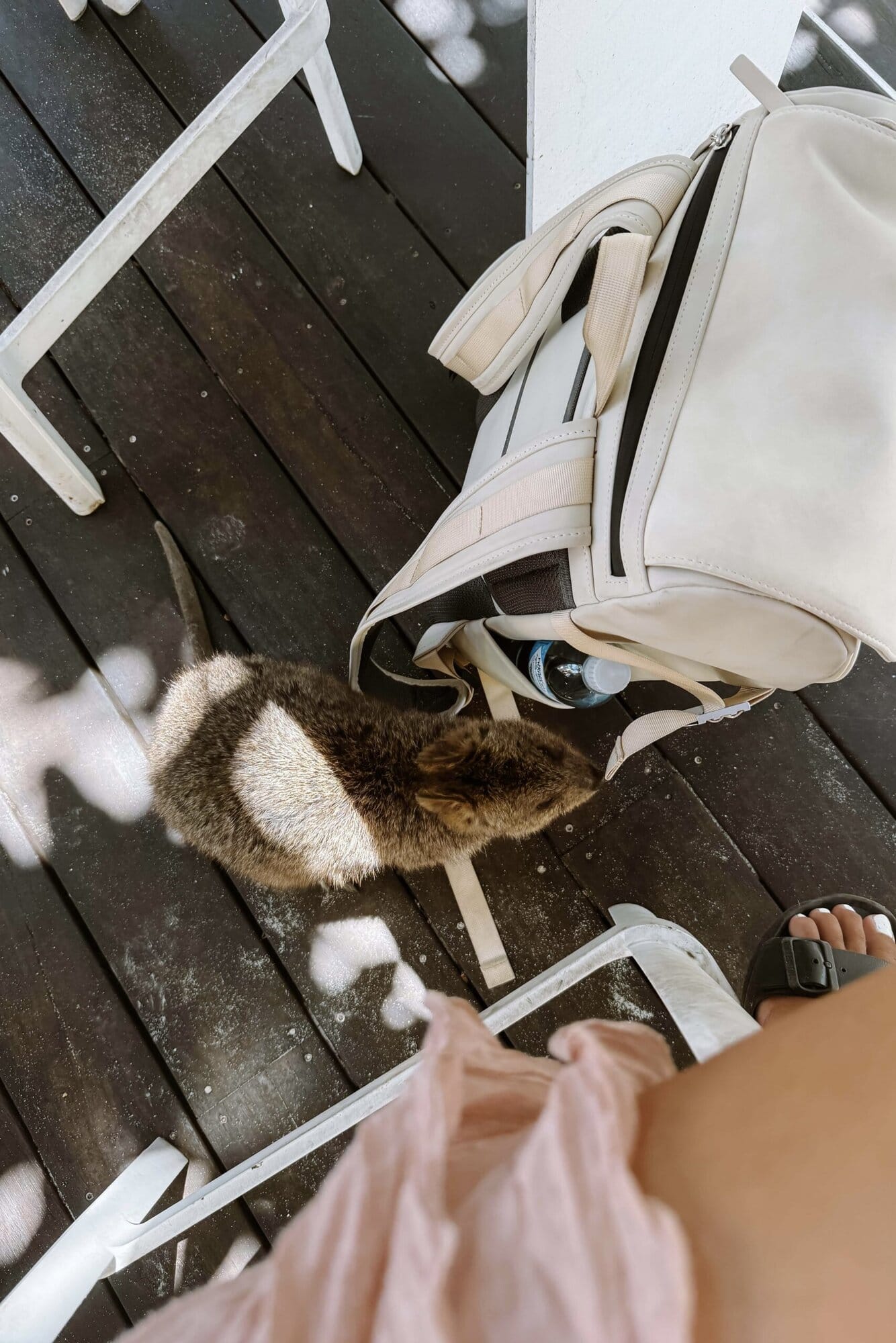 quokka am restaurant