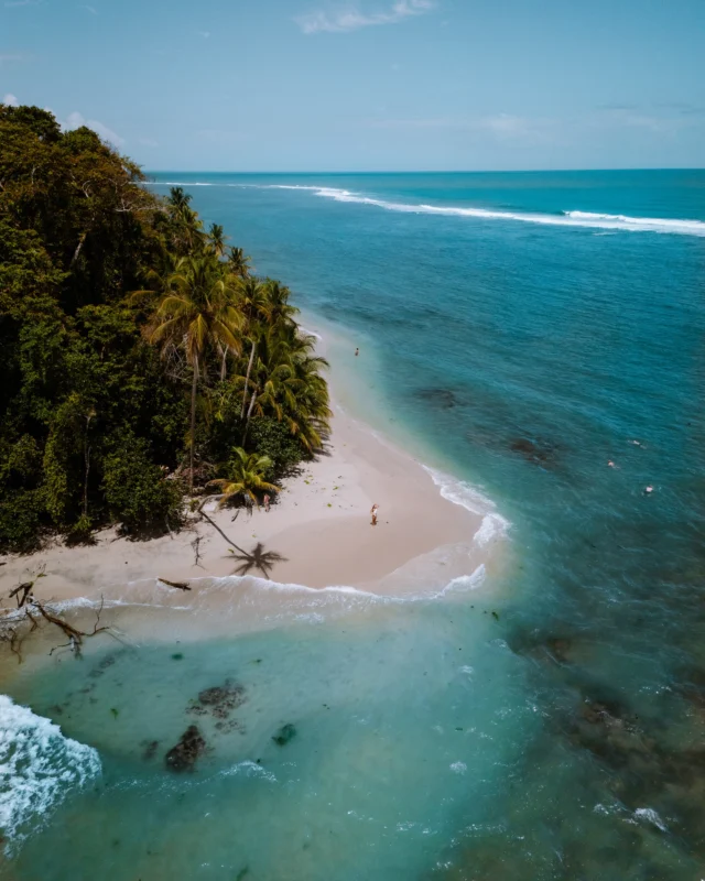Cahuita Nationalpark🦜
•
•
•
Ihr Lieben 🥰 während wir in Costa Rica waren haben wir auch den Cahuita Nationalpark besucht. Dieser liegt bei Puerto Viejo an der Ostgrenze, fast an der Grenze zu Panama 🇵🇦 ihr habt hier 2 Eingänge in den Park. Einer in Puerto Vargas und einer in Cahuita. Der Eintritt bei Puerto Vargas kostet 6$ und der bei Cahuita ist im Grunde kostenlos, ihr spendet und tragt euch in ein Logbuch ein. Wie viel ihr spendet, ist jedem selbst überlassen 💰 
Wir sind am Cahuita Eingang gestartet und den ganzen Weg bis zum anderen Ende gelaufen (ca 7km). Ihr findet am jeweils anderen Ende eine Möglichkeit wieder zum Auto gebracht zu werden. Ich finde den ganzen Weg zu laufen hat sich auf jeden Fall gelohnt. 
Im Park haben wir selbst leider ziemlich wenige Tiere gesehen, da wir gehört hatten, dass man keinen Guide braucht. Wir haben nämlich nur Kapuzineräffchen gesehen, einen Waschbär, einen Papagei 🦜 und Faultiere 🦥 mehr leider nicht. Ich würde euch daher einen Tourguide empfehlen.
•
Im NP gibt es allerdings auch unzählige schöne Strände, die ihr definitiv besuchen solltet. Vergesst daher euer badehandtuch und den Bikini/die Badehose nicht ☺️
•
•
•
#costaricatravel #cahuitanationalpark #cahuita #visitcostarica 
#explorerbabes #backpackerstory #postcardplaces 
#dametraveler #damestravel #dirtybootstravel #germantravelblogger #germantraveller #girlstraveleurope #immerunterwegs #lovelifepassport #heutehiermorgendort #weareseeker #girlswhotravel #condenasttraveller  #travelstribe #instravel #travelust #travelaroundit #thewanderingtourist 
#travelbloggeraroundtheworld #iamtraveller