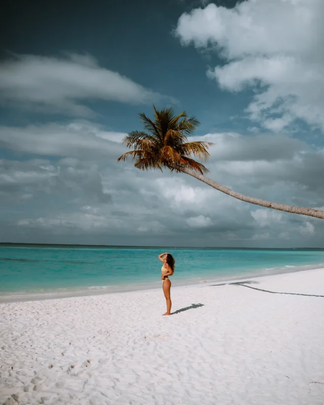 Arrived in Paradise 🏝️ |Ad
•
•
•
Ihr Lieben 🥰 angekommen im Paradies, nämlich auf den Malediven 🇲🇻 😍 mein zweites Mal hier und es ist einfach toll 😊 diesmal verbringen wir zunächst vier Nächte im @villapark.maldives ☺️ 
Das hotel bietet auf jeden Fall für jeden etwas. Hier gibt es verschiedene Restaurants, Spa, eine beachbar, jeden Tag wechselnde Aktivitäten, Ausflüge, und und und. 
Besonders die große Anlage und die Sandbank gefallen mir gut 😍 
•
Wer von euch war schonmal auf den Malediven?
•
•
•
#villaresort #villapark #maldiveshotels #maldivesresorts #maldivestrip