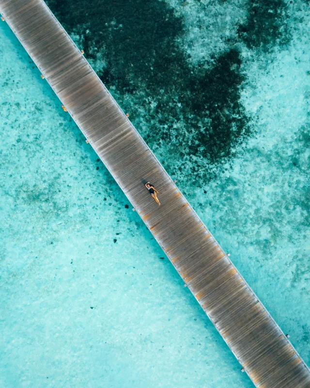 Maldives dreaming 🤍🌴
•
•
•
#maldivestrip #maldivesparadise #maldiveslovers #sheisnotlost