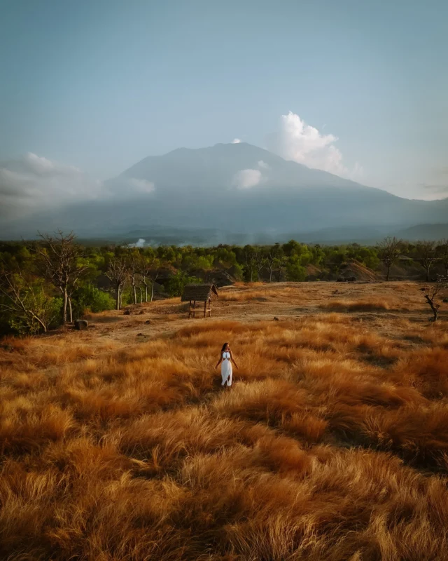Savana Tianyar 🤍
•
•
•
Dieser einzigartige Ort existiert tatsächlich auf Bali und zwar im Osten der Insel 😍 übrigens gibt es zu mir + Bali bald große News 😍 wer kann sich vorstellen, was es ist?
•
•
• 
#eastbali #savanatianyar #visitbali #visitindonesia #sheisnotlost 
#germantravelblogger #germantraveller #travelblogger #reiseblogger #girlsthatwander #passionpassport #traveldreamseekers #immerunterwegs #lovelifepassport #heutehiermorgendort #reisefotografie #meerweh #weareseeker #girlswhotravel 
#travelbloggeraroundtheworld #iamtb #journeysofgirls #sheisnotlost #condenasttraveller