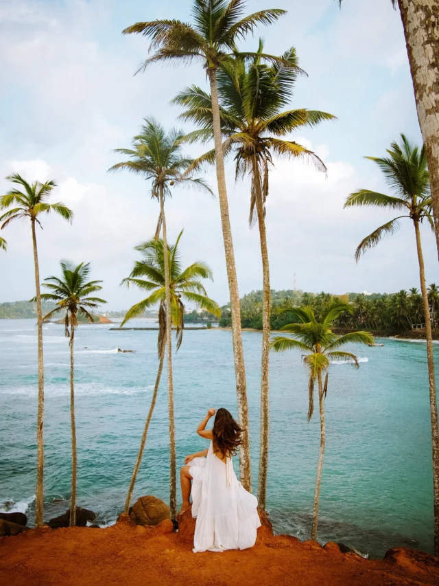 Definitely need to go back to Sri Lanka 🇱🇰 💭
•
•
•
📅 March 2023 🥹 
We travelled to places like Kandy, Ella, Mirissa, Uduwalawe and had the best time 🥹🥰
Next time with a Tuktuk ✌🏼 
•
•
•
#coconuttreehill #srilankatravel #srilankatrip #visitsrilanka #travelsrilankawithus #thedreamytravels #traveltag #nomadgirls #thetravelwomen #instravelist #travelgram #travelgirl
#reisenmachtglücklich #travelstoked #wandergram #travellifelove #traveladdictedladies #citybestview #takemetheretoday #globalcaptures #vactiongoal #passportexpress #followmetravel #followmytravel #traveltheworldwithme #traveltheworldtoday #traveltheworldphotography #wanderlusttravel #passportlife