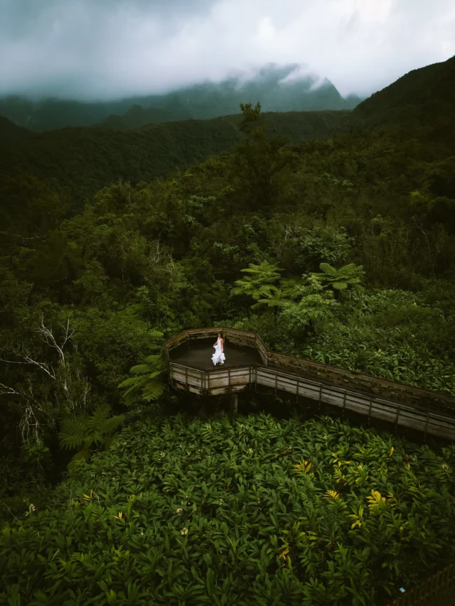 Reunion Paradise ✨
•
•
•
Throwback to this incredible trip to #réunion island 😍
We stayed in Saint Denis and explored mostly every corner of this island ☺️ 
My Highlights were:
🌴Plage de l’Étang-Salé
💦 Cascade Grand-Galet
☀️ Maido 
•
•
•
#reunionisland #réunion #reunionparadis #laréunion #backpackerstory #postcardplaces #takamaka #waterfallchasing #waterfallchaser #waterfallsaroundtheworld 
#dametraveler #damestravel #dirtybootstravel #germantravelblogger #germantraveller #girlstraveleurope #immerunterwegs #lovelifepassport #heutehiermorgendort #weareseeker #condenasttraveller  #travelstribe #instravel #travelust #meerweh #travelaroundit #thewanderingtourist 
#travelbloggeraroundtheworld #iamtraveller